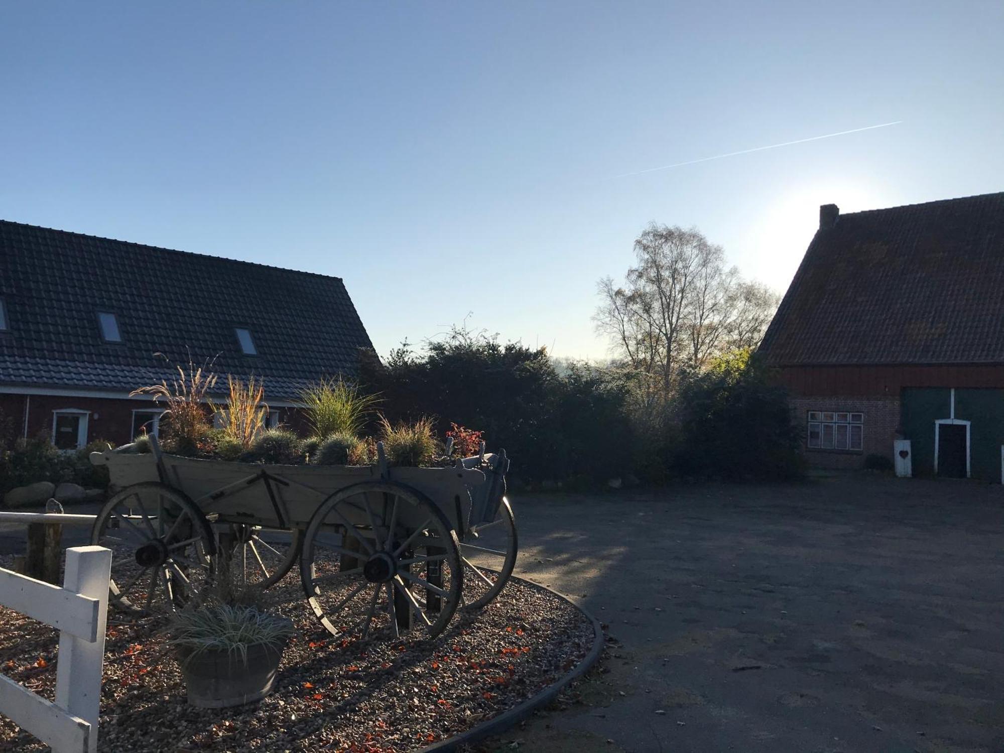 Moderne Ferienwohnung Auf Gut Bennewohld Wl 海德 外观 照片