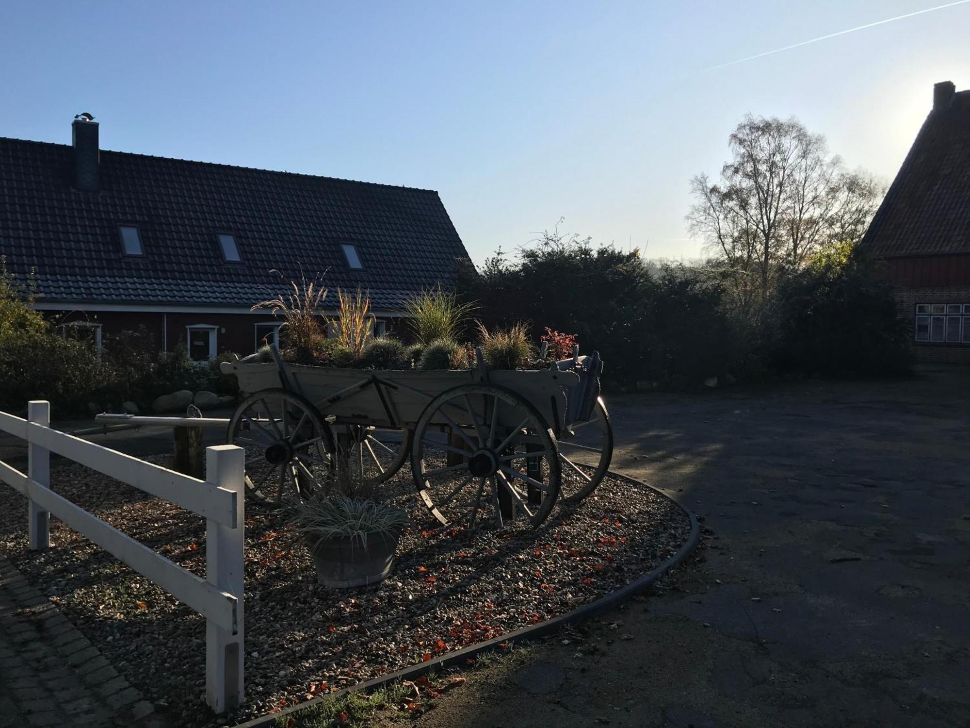 Moderne Ferienwohnung Auf Gut Bennewohld Wl 海德 外观 照片